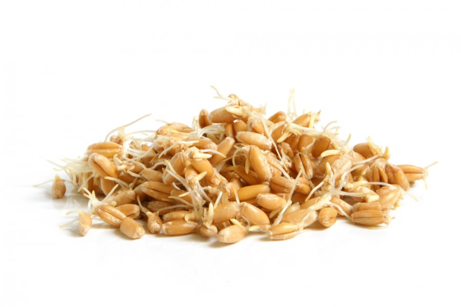 Germe de blé : un atout pour votre corps ?