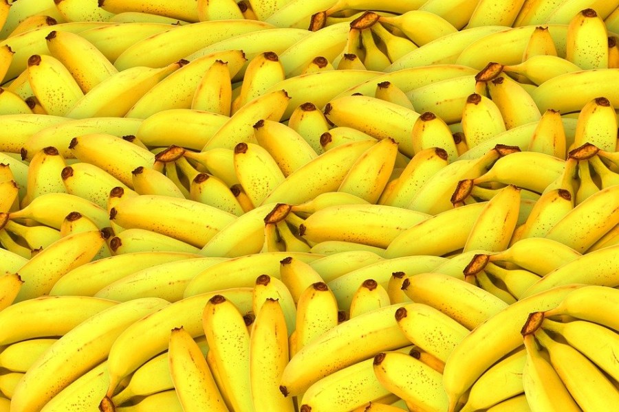 Allergie à la banane : que faut-il savoir ?