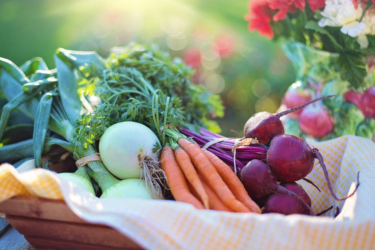 Carottes et navets glacés : un accompagnement bon et simple